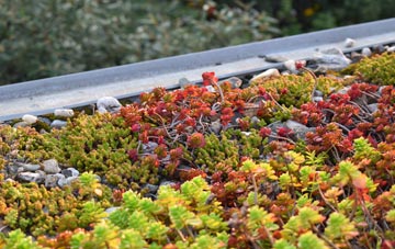 the cost of Tarlton green roof installation